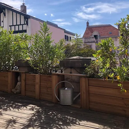 Charming Apt With Terrace Near The Beach * ביאריץ